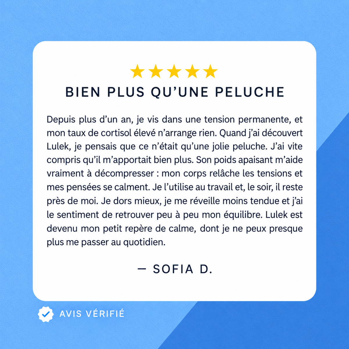 KineHug — La peluche lestée câline