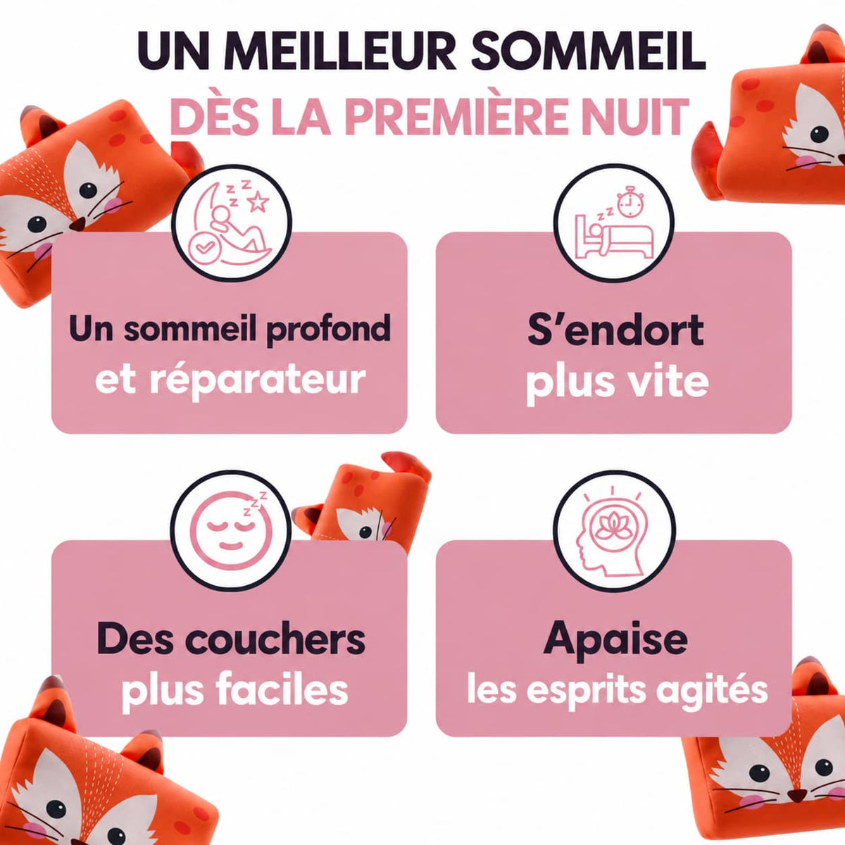 Petit Renard