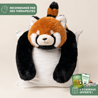 Panda Roux